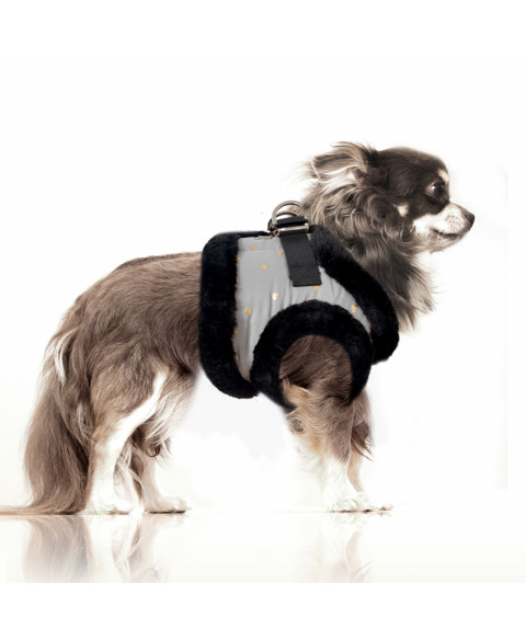hikari-harness milk & pepper tuigje hond grijs chihuahua