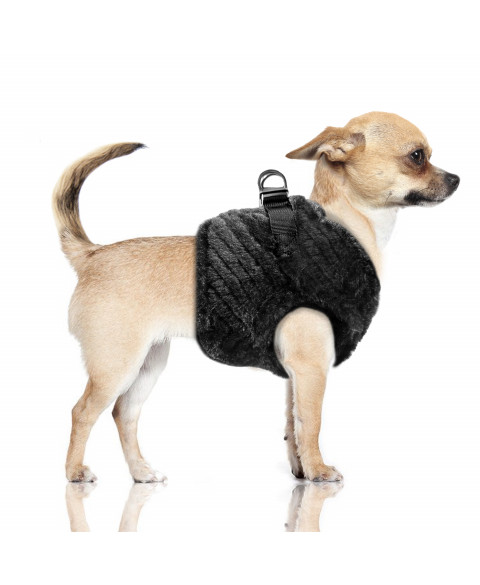 inga-harness milk&pepper zijkant hond chihuahua